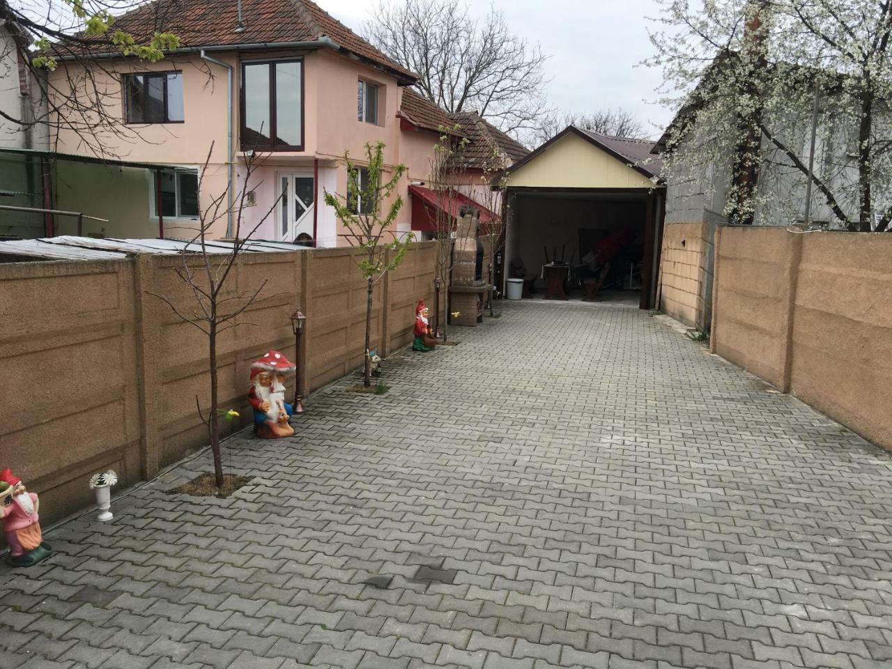 Отель Casa Ovi Si Simo Хацег Экстерьер фото