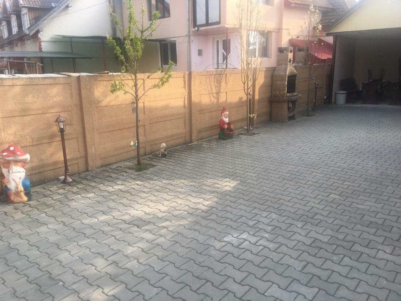 Отель Casa Ovi Si Simo Хацег Экстерьер фото